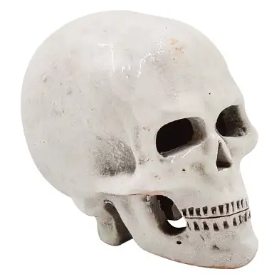 ZOOexpress Грот Череп Г4 для аквариума