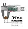 GO'KITCHEN сухой беззерновой корм для щенков и собак всех возрастов с лососем и треской #5