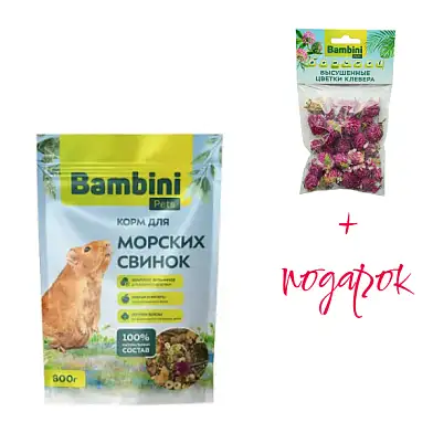 Bambini Pets Сухой корм для морских свинок + лакомство «Bambini Pets» цветы клевера в ПОДАРОК