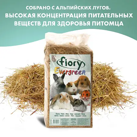 Купить fiory сено для грызунов (evergreen)